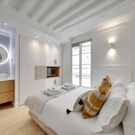 Ultra Town House By Architect - Louvre Paris